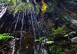 IMG_2658 drips.JPG